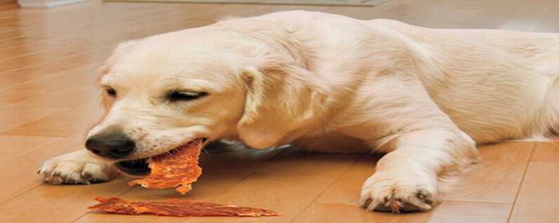 给宠物狗吃哪种肉更合适