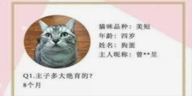 吾皇是什么品种的猫